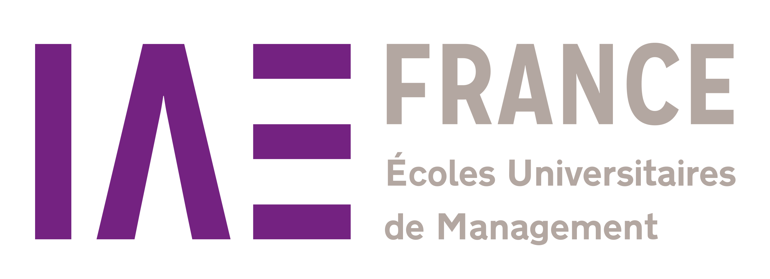 IAE FRANCE logo