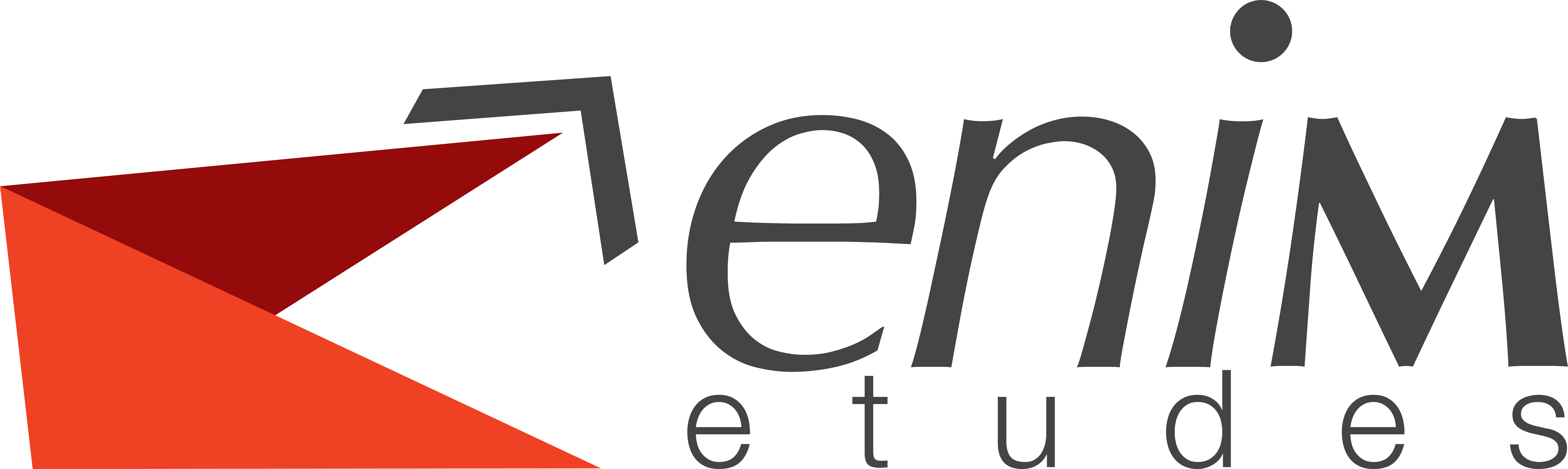 Enim Etudes Logo
